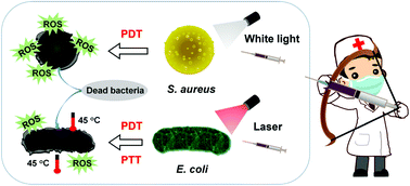 Graphical abstract: Fe-TCPP@CS nanoparticles as photodynamic and photothermal agents for efficient antimicrobial therapy