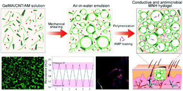 Graphical abstract: Conductive and antimicrobial macroporous nanocomposite hydrogels generated from air-in-water Pickering emulsions for neural stem cell differentiation and skin wound healing