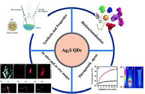 Graphical abstract: Ag2S quantum dot theragnostics