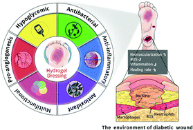 Graphical abstract: Advances of hydrogel dressings in diabetic wounds