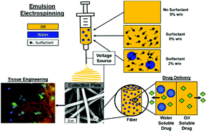 Graphical abstract: Surfactant location and internal phase volume fraction dictate emulsion electrospun fiber morphology and modulate drug release and cell response