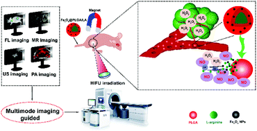 Graphical abstract: Multifunctional l-arginine-based magnetic nanoparticles for multiple-synergistic tumor therapy