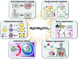 Graphical abstract: Biocompatible and functional inorganic magnesium ceramic particles for biomedical applications