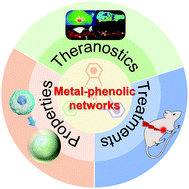 Graphical abstract: Metal-phenolic networks for cancer theranostics