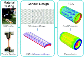 Graphical abstract: In silico design of additively manufacturable composite synthetic vascular conduits and grafts with tuneable compliance