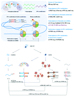 Graphical abstract: Advances in single-cell multi-omics profiling