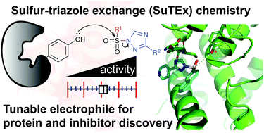 Graphical abstract: Development and biological applications of sulfur–triazole exchange (SuTEx) chemistry