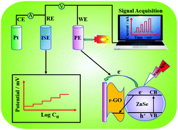 Graphical abstract: Photoelectric current as a highly sensitive readout for potentiometric sensors