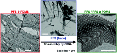 Graphical abstract: Single-step self-assembly to uniform fiber-like core-crystalline block copolymer micelles