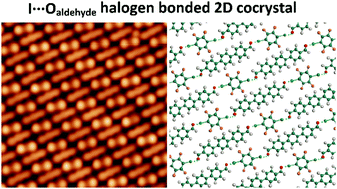Graphical abstract: Construction of 2D extended cocrystals on the Au(111) surface via I⋯Oaldehyde halogen bonds