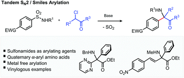 Graphical abstract: Arylation and alkenylation of activated alkyl halides using sulfonamides
