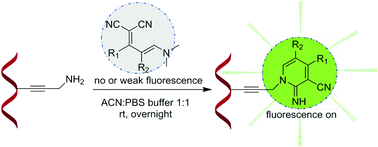 Graphical abstract: Propargylamine-selective dual fluorescence turn-on method for post-synthetic labeling of DNA