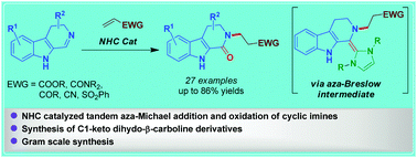 Graphical abstract: N-Heterocyclic carbene (NHC)-catalyzed tandem imine umpolung–aza-Michael addition–oxidation of β-carboline cyclic imines