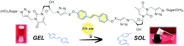 Graphical abstract: Supramolecular gels derived from nucleoside based bolaamphiphiles as a light-sensitive soft material