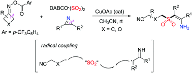Graphical abstract: A copper-catalyzed insertion of sulfur dioxide via radical coupling
