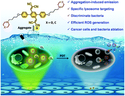 Graphical abstract: Efficient photosensitizers with aggregation-induced emission characteristics for lysosome- and Gram-positive bacteria-targeted photodynamic therapy