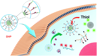 Graphical abstract: Non-template synthesis of porous carbon nanospheres coated with a DNA-cross-linked hydrogel for the simultaneous imaging of dual biomarkers in living cells