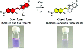 Graphical abstract: Activatable fluorescent probes for hydrolase enzymes based on coumarin–hemicyanine hybrid fluorophores with large Stokes shifts