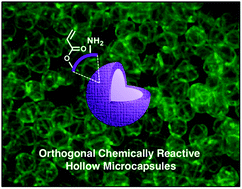 Graphical abstract: Synthesis of orthogonally reactive multilayered microcapsules