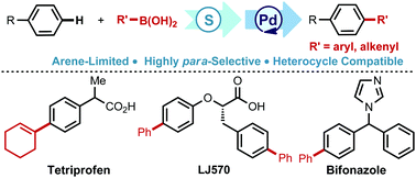 Graphical abstract: para-Selective arylation and alkenylation of monosubstituted arenes using thianthrene S-oxide as a transient mediator