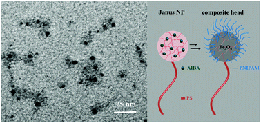 Graphical abstract: Large scale synthesis of single-chain/colloid Janus nanoparticles with tunable composition