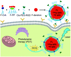Graphical abstract: Fluorinated cryptophane-A and porphyrin-based theranostics for multimodal imaging-guided photodynamic therapy