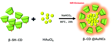 Graphical abstract: One-pot synthesis of β-cyclodextrin modified Au nanoclusters with near-infrared emission