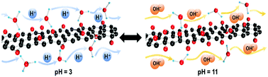 Graphical abstract: Ion conduction switching between H+ and OH− induced by pH in graphene oxide
