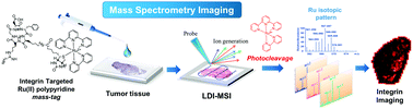 Graphical abstract: Targeted imaging of integrins in cancer tissues using photocleavable Ru(ii) polypyridine complexes as mass-tags