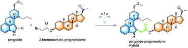 Graphical abstract: Photochemical α-carboxyalkylation of tryptophols and tryptamines via C–H functionalization