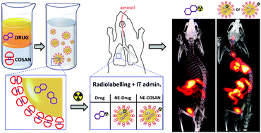 Graphical abstract: COSAN-stabilised omega-3 oil-in-water nanoemulsions to prolong lung residence time for poorly water soluble drugs