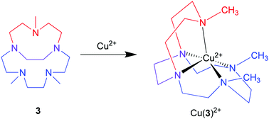 Graphical abstract: An ethylene cross-bridged pentaazamacrocycle and its Cu2+ complex: constrained ligand topology and excellent kinetic stability