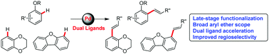 Graphical abstract: Dual ligand-promoted palladium-catalyzed nondirected C–H alkenylation of aryl ethers
