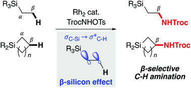 Graphical abstract: β-Silicon-effect-promoted intermolecular site-selective C(sp3)–H amination with dirhodium nitrenes