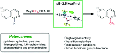 Graphical abstract: An efficient and facile strategy for trifluoromethylation and perfluoroalkylation of isoquinolines and heteroarenes