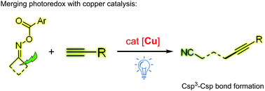 Graphical abstract: Copper-catalysed Csp3–Csp cross-couplings between cyclobutanone oxime esters and terminal alkynes induced by visible light