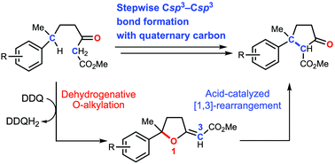 Graphical abstract: Stepwise approach for sterically hindered Csp3–Csp3 bond formation by dehydrogenative O-alkylation and Lewis acid-catalyzed [1,3]-rearrangement towards the arylalkylcyclopentane skeleton of sesquiterpenes