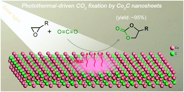 Graphical abstract: Flower-like cobalt carbide for efficient carbon dioxide conversion