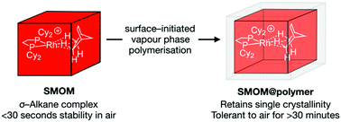 Graphical abstract: Tolerant to air σ-alkane complexes by surface modification of single crystalline solid-state molecular organometallics using vapour-phase cationic polymerisation: SMOM@polymer