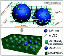 Graphical abstract: From coordination polymers to nanocrystals: general and facile synthesis of ultra-small metal oxide nanocrystals