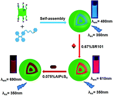 Graphical abstract: A highly efficient light-harvesting system with sequential energy transfer based on a multicharged supramolecular assembly