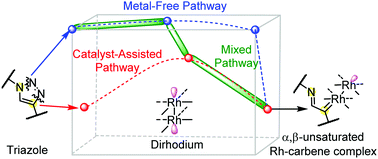 Graphical abstract: With metal or not? a computationally predicted rule for a dirhodium catalyst in [3+3] cycloadditions of triazole with thiirane
