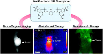 Graphical abstract: Tumor-targeted near-infrared fluorophore for fluorescence-guided phototherapy