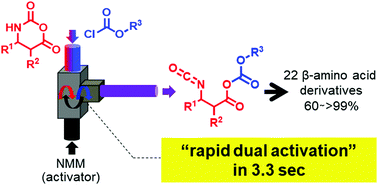 Graphical abstract: Micro-flow synthesis of β-amino acid derivatives via a rapid dual activation approach