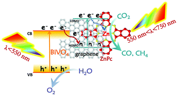 Graphical abstract: Graphene-modulated assembly of zinc phthalocyanine on BiVO4 nanosheets for efficient visible-light catalytic conversion of CO2