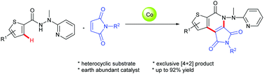 Graphical abstract: Cobalt-catalyzed 2-(1-methylhydrazinyl)pyridine-assisted cyclization of thiophene-2-carbohydrazides with maleimides: efficient synthesis of thiophene-fused pyridones