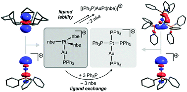 Graphical abstract: A heterodinuclear, formal Au+IPt0 complex with weakly bound alkene ligands