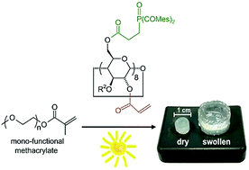 Graphical abstract: Synthesis of γ-cyclodextrin substituted bis(acyl)phosphane oxide derivative (BAPO-γ-CyD) serving as multiple photoinitiator and crosslinking agent