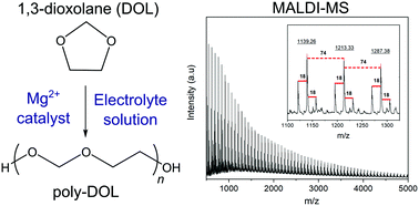 Graphical abstract: Mg2+ ion-catalyzed polymerization of 1,3-dioxolane in battery electrolytes