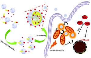 Graphical abstract: Mitochondrion-targeting chemiluminescent ternary supramolecular assembly for in situ photodynamic therapy